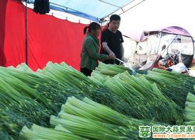 綿陽(yáng)市：“蒜薹大王”的致富經(jīng) ()