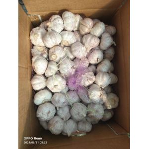 大蒜加工、出口 Garlic exporter