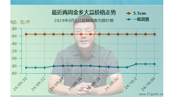 蒜價(jià)猛然上漲、能否再接再厲 (633播放)